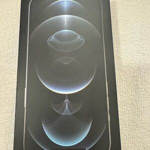 iPhone 12 Pro Max , silver 128 GB